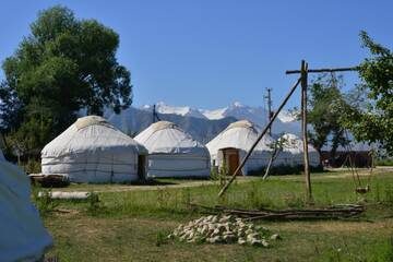 Фото Кемпинги Jurten Camp Almaluu г. Tong 1